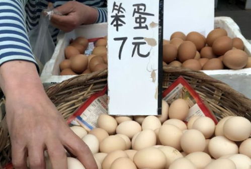 下半年,來自農(nóng)村的這4款產(chǎn)品即將漲價,農(nóng)民們趕緊養(yǎng)起來