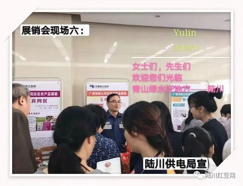 九洲江水競風流 脫貧攻堅獻身手