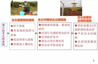 初級農(nóng)產(chǎn)品原料食品安全風(fēng)險 農(nóng)藥管理