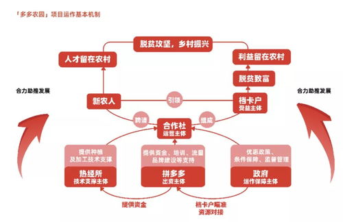 拼多多發(fā)布農(nóng)產(chǎn)品上行發(fā)展報告, 電商助農(nóng),大有可為