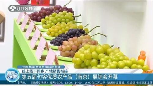 線上線下同步銷售 第五屆句容優(yōu)質(zhì)農(nóng)產(chǎn)品 南京 展銷會(huì)開幕