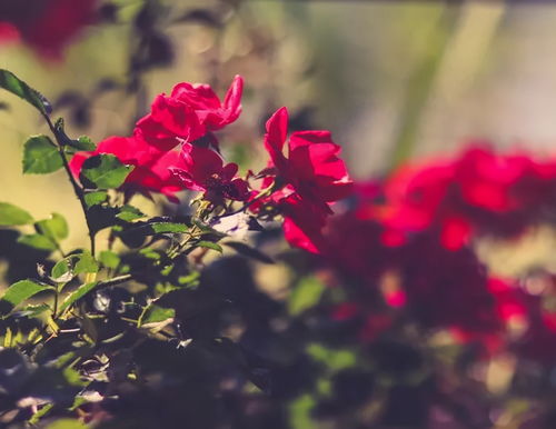 變心之人難免會體現在細節上,尤其出現第三條,基本坐實