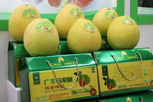 農交會上江西實力 搶鏡 ,9個農產品捧回金獎,南昌成下一屆主辦地