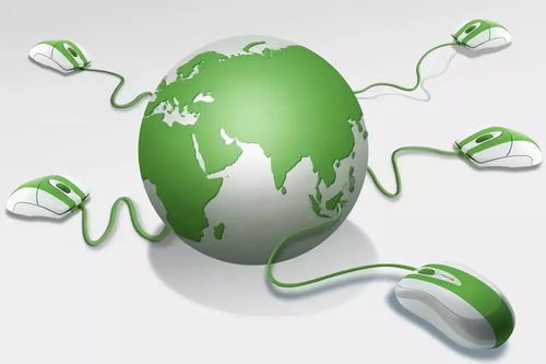 電商賦能，菜農破局——齊陵電商助農新路徑